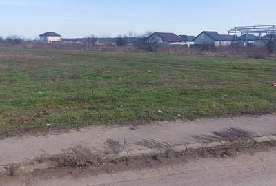 Spațiu comercial, în Cornetu - 5