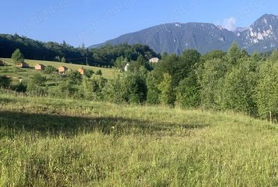 Teren de 4069 mp, în Poiana Mărului - 2