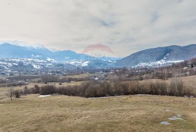 Teren Construcții intravilan de 5602 mp, în Tohanu Nou - 7