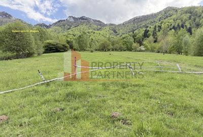 Teren Construcții intravilan de 5261 mp, în Tohănița - 8