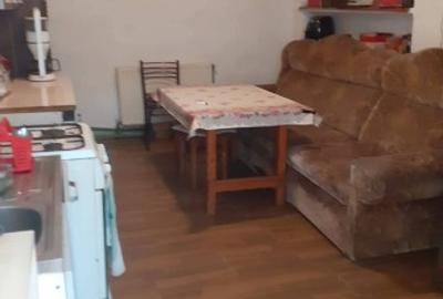 Casă individuală cu 4 camere cu Teren 1906 Mp în Gelu - 3