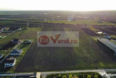 Teren în Vânători