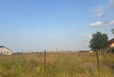 Teren de 5000 mp, în Mineri