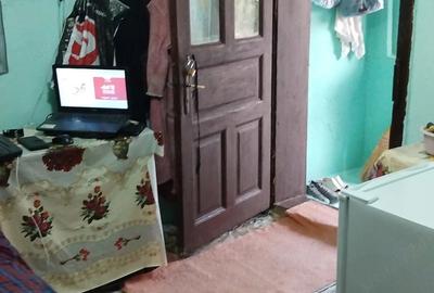 Casă cu Teren 2900 Mp în Izvoru (Gogoșari)