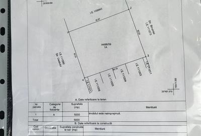 Teren de 5000 mp, în Lazu - 2