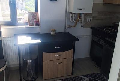 Apartament cu 2 camere în Valea Lupului - 1