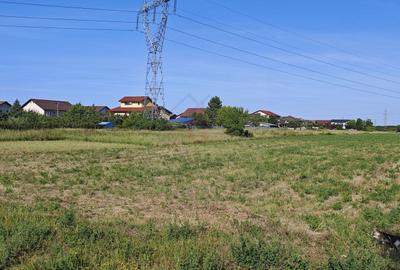 Teren agricol intravilan de 5000 mp, în Moșnița Nouă - 9