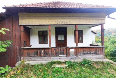 Casă cu 2 camere în Câmpulung Muscel - 6