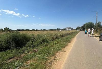 Teren de 9000 mp, în Joița