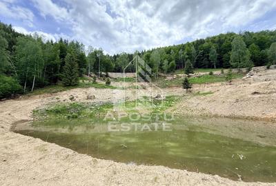 Teren Construcții extravilan de 18000 mp, în Exterior Sud - 57