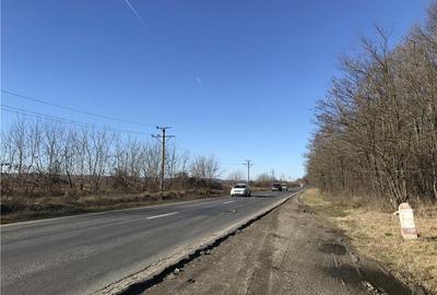 Teren de 7500 mp, în Dragomirești - 7