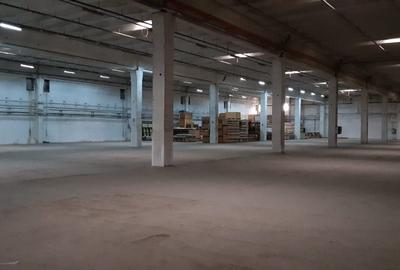 Spațiu industrial, de 12,000 mp, în Depozite