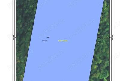 Teren de 10000 mp, în Vama - 1