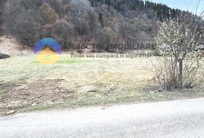Teren Construcții intravilan de 2207 mp, în Tarcău - 2