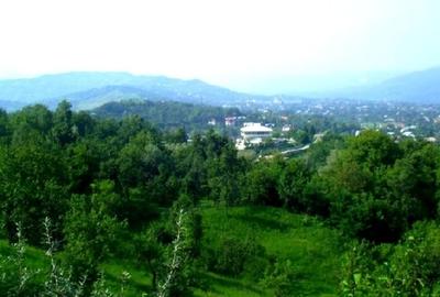 Teren Construcții intravilan de 5000 mp, în Breaza de Sus