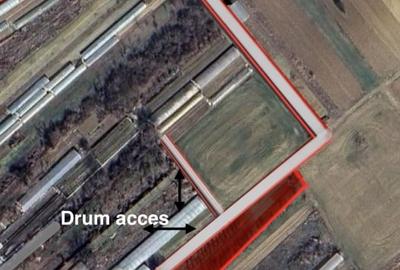 Teren Construcții intravilan de 1430 mp, în Copăceni - 1