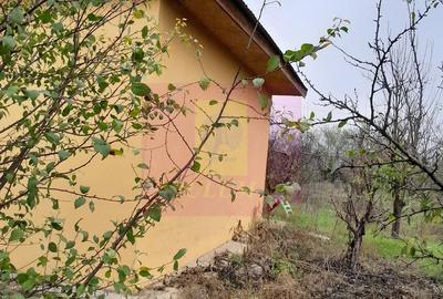 Casă cu 3 camere cu Teren 15000 Mp în Bărcănești