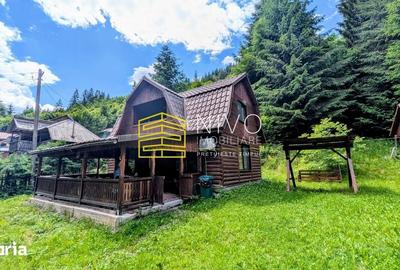 Casă cu 4 camere cu Teren 850 Mp în Lunca - 5