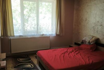 Apartament cu 2 camere semidecomandat în Calea București - 3