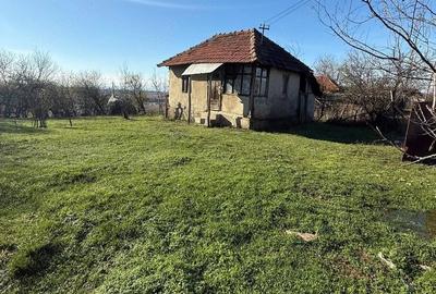 Teren de 5300 mp, în Negrești