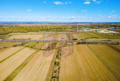 Teren Construcții extravilan de 31700 mp, în Uliești - 6