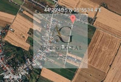 Teren Construcții intravilan de 500 mp, în Zurbaua - 10
