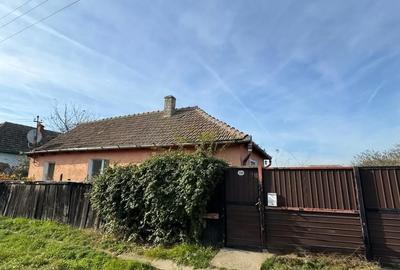 Casă cu 2 camere cu Teren 4535 Mp în Ateaș - 4