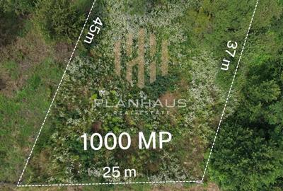 Teren de 1000 mp, în Ardusat - 2