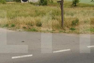 Teren de 5600 mp, în Chilieni