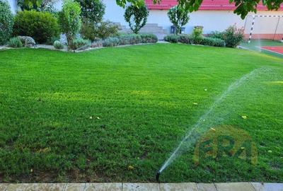 Casă individuală cu 4 camere cu Canalizare în Oncea - 7