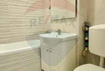 Apartament cu 2 camere semidecomandat, mobilat în Drumul Taberei - 12