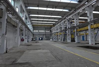 Spațiu comercial, de 11,000 mp, în Central