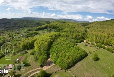 Teren de 13700 mp, în Central - 2