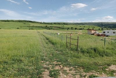 Teren de 1300 mp, în Chinteni - 9