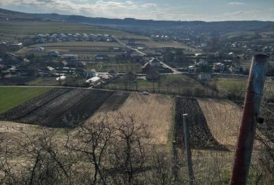 Teren agricol extravilan de 9000 mp, în Baciu - 7