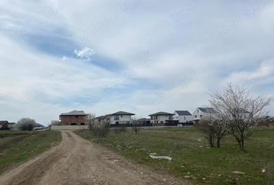 Teren de 937 mp, în Tamași - 3