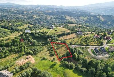 Teren Construcții intravilan de 2307 mp, în Bran - 3