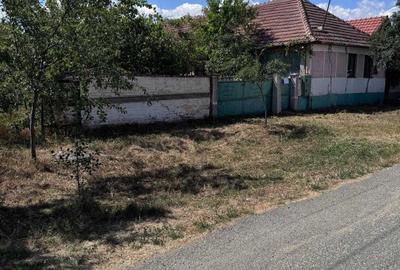 Casă cu 3 camere în Sânleani