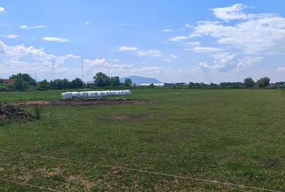 Teren Construcții intravilan de 5000 mp, în Bod - 2