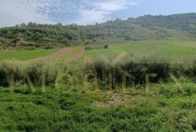 Teren de 2760 mp, în Sava