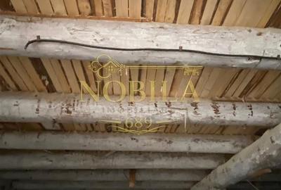 Spațiu comercial, în Agăș - 8