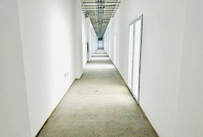Spațiu industrial, de 90 mp, în Theodor Pallady - 1