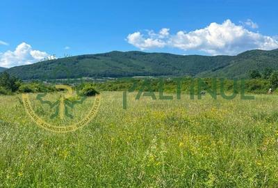 Teren agricol extravilan de 2000 mp, în Poplaca - 1