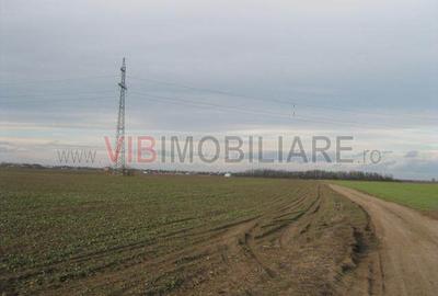 Teren de 61830 mp, în Belciugatele - 9