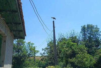 Casă cu Teren 2000 Mp în Cerchezu - 1