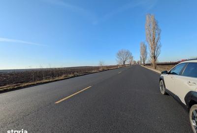 Teren de 10000 mp, în Săucești - 1