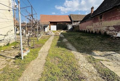Casă cu 4 camere cu Teren 2000 Mp în Hamba - 4