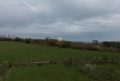 Teren de 5800 mp, în Mitocași