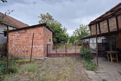 Casă cu 5 camere cu Teren 1870 Mp în Lenauheim