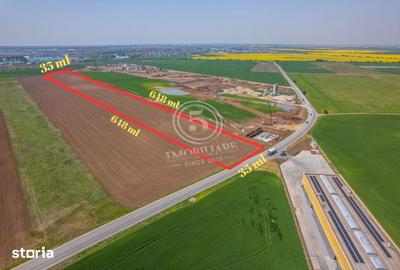 Teren de 22700 mp, în Ștefăneștii de Jos - 2